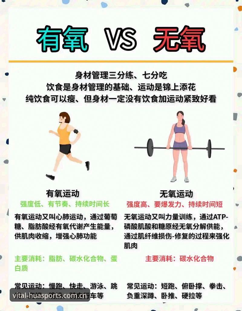 华体育运动动力 华体育平台运动动力对比:旧习惯vs新方案,哪个更能激活健康潜能?